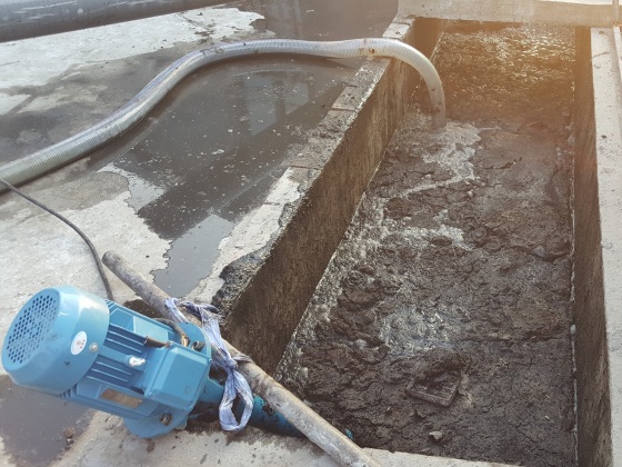 雞糞91成人抖音免费設備